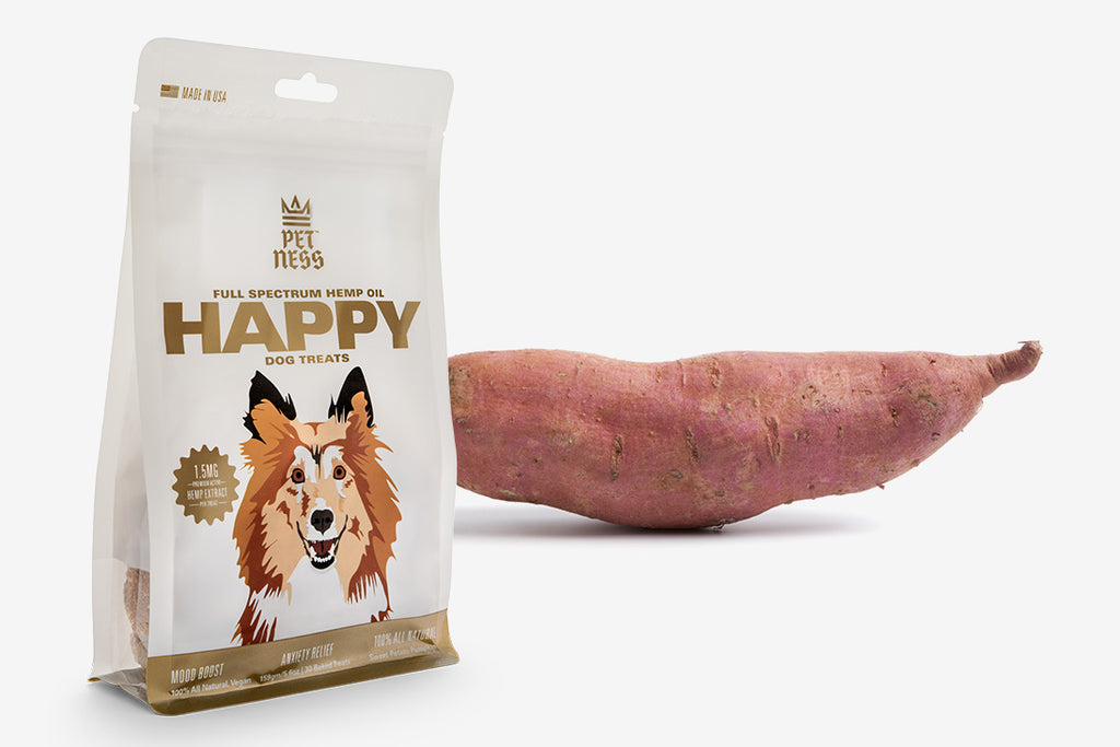 Are Sweet Potatoes Good for Dogs? Watch Your Buddy's Diet PetNess