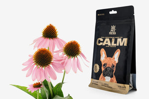 Calm treats use echinacea for dogs for a variety of benefits