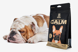Calm treats are an excellent solution for treating anxiety in dogs