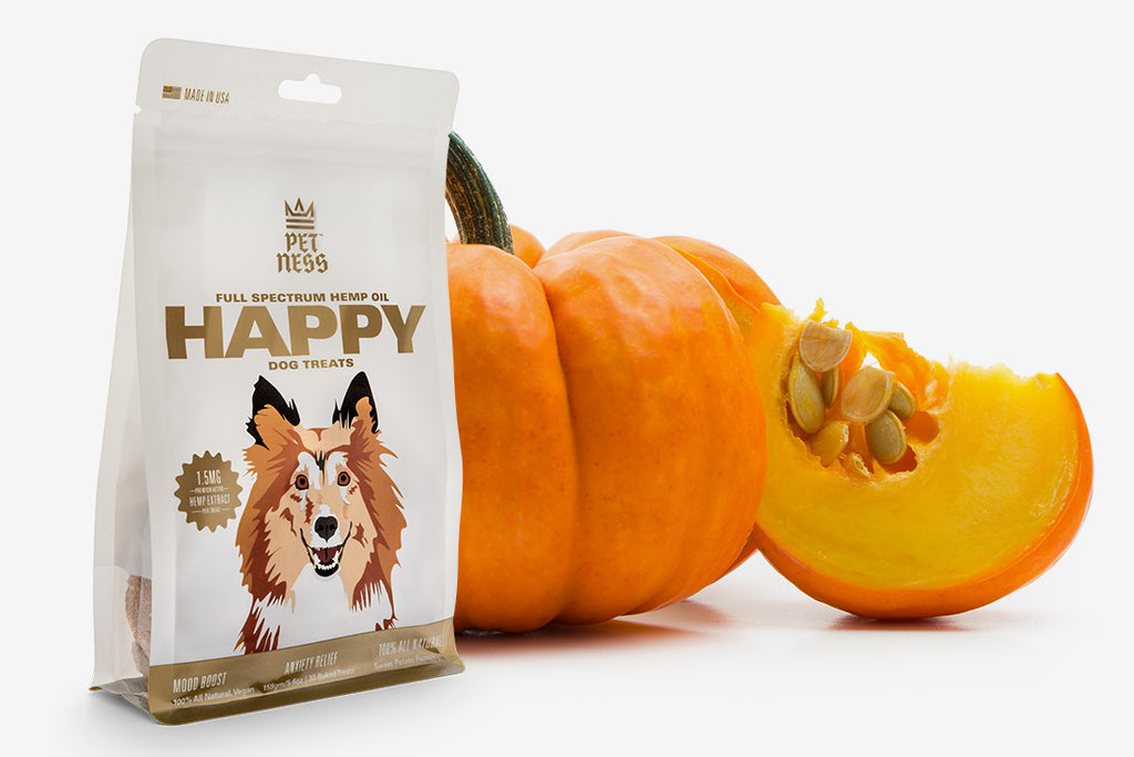Pumpkin For Dogs Can It Help Them? PetNess PETNESS
