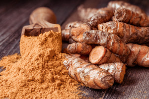 Tumeric for Dogs: How Does it Help?