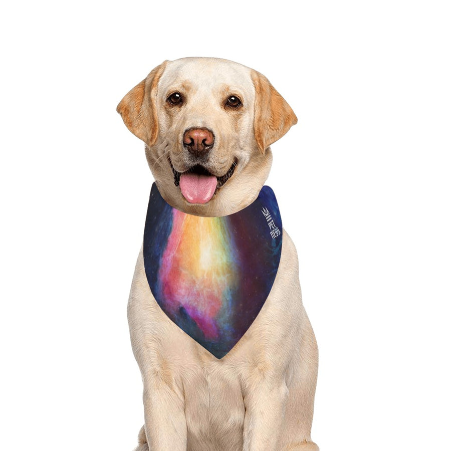 Cosmo Space Dog Bandana